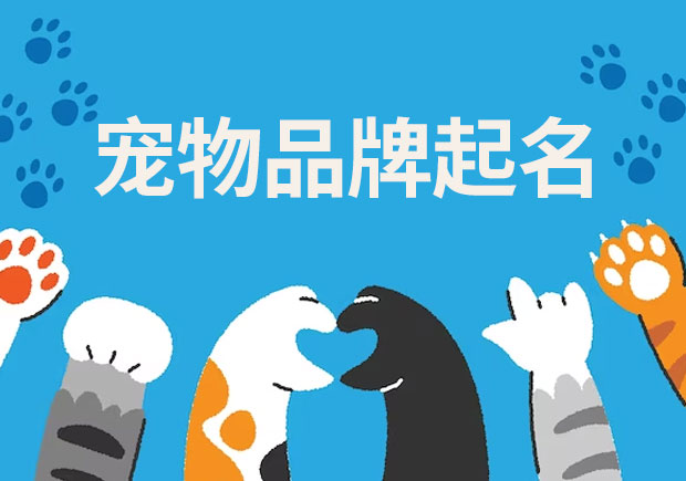 探索寵物品牌起名的奧秘：技巧、來歷與差異