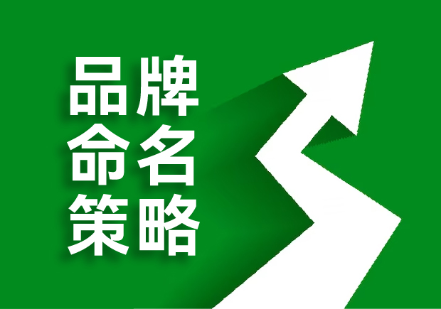 品牌命名的策略是什么，核心原則是這六點！