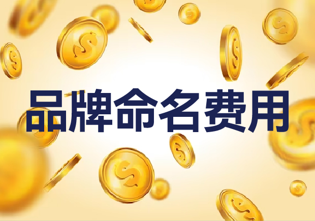 國內外品牌命名費用是多少？