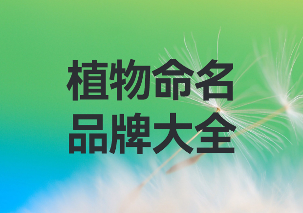 以植物命名的品牌有哪些？