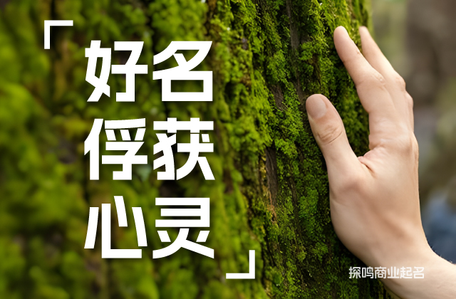 評(píng)估和測(cè)試商標(biāo)名稱.jpeg